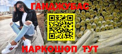 стаф Шелехов